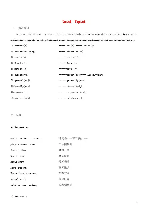 九年级英语下册 Unit 6 Topic 1 I would rather watch sports shows than those ones讲义 (新版)仁爱版