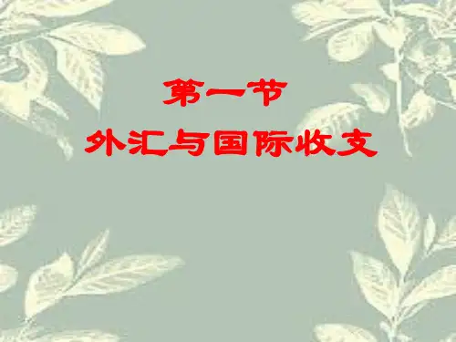 第1节外汇与国际收支