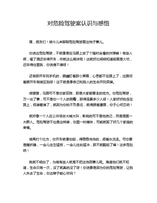 对危险驾驶案认识与感悟