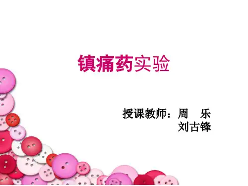 镇痛药实验