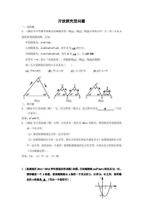 中考数学模拟试题开放探究型问题
