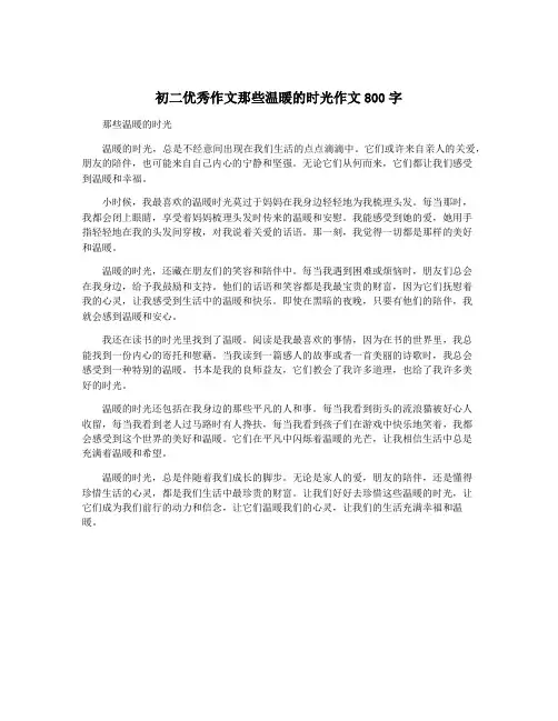 初二优秀作文那些温暖的时光作文800字