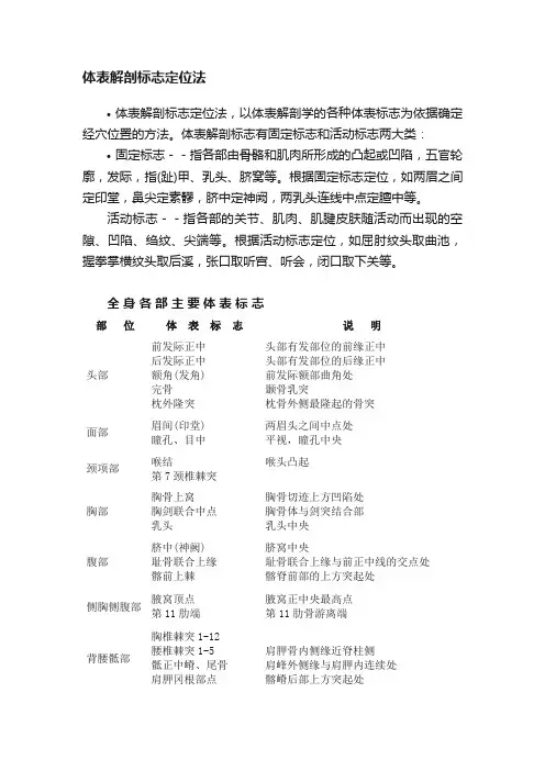 体表解剖标志定位法