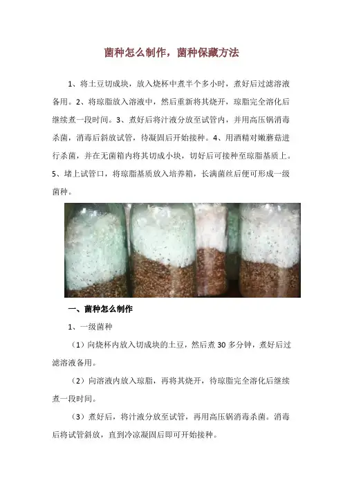 菌种怎么制作,菌种保藏方法