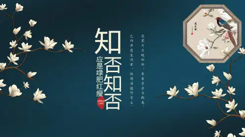 中国风玉兰花PPT