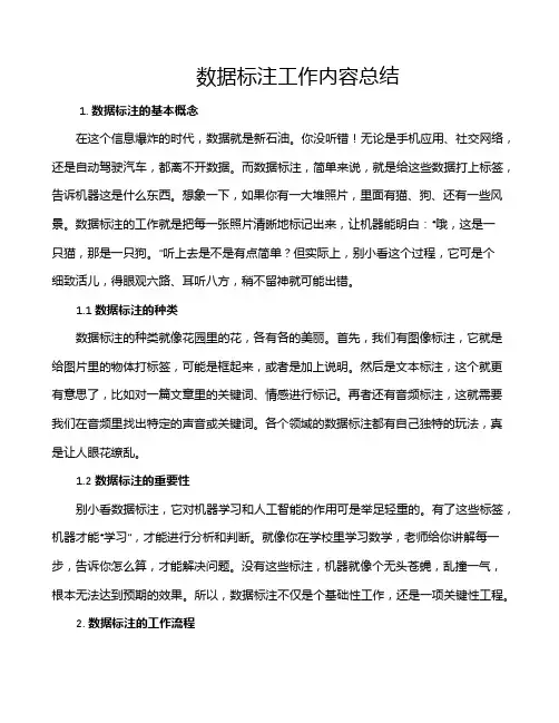 数据标注工作内容总结