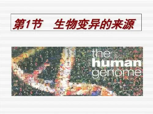 浙科版生物变异的来源-PPT精选文档