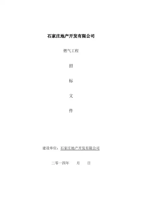 燃气招标文件