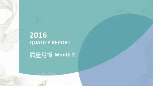 PPT质量月报模板课件