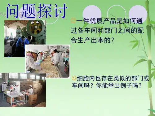  细胞器--系统的分工合作(共35张PPT)
