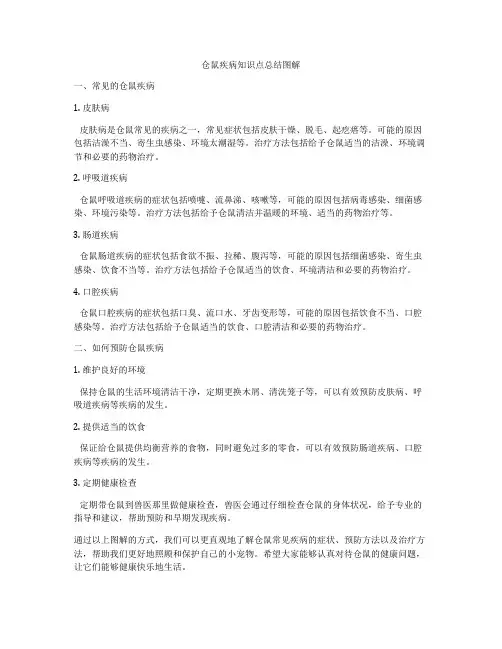 仓鼠疾病知识点总结图解