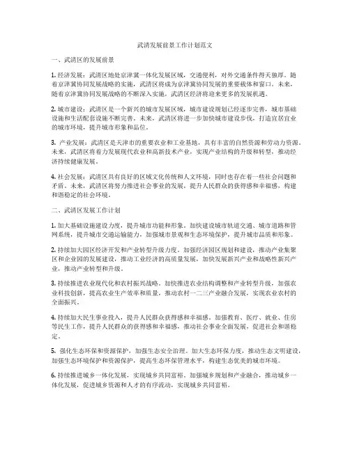 武清发展前景工作计划范文