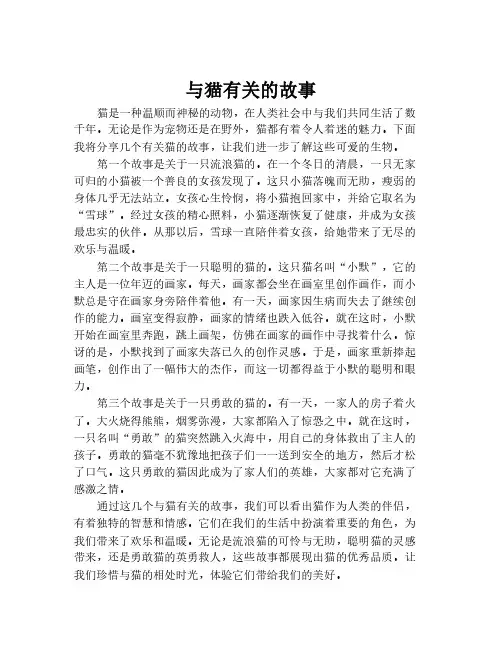 与猫有关的故事