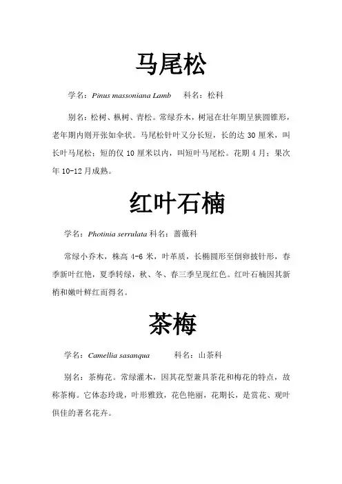 校园植物名片