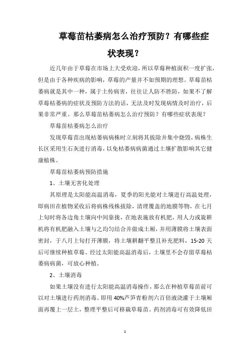 草莓苗枯萎病怎么治疗预防？有哪些症状表现？