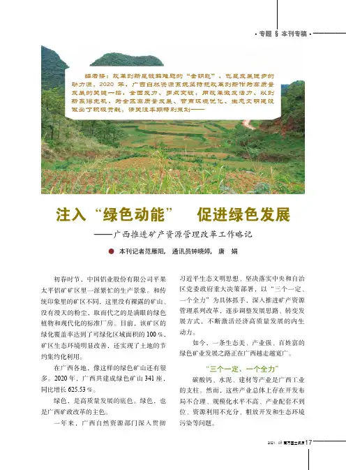 注入“绿色动能” 促进绿色发展——广西推进矿产资源管理改革工作略记