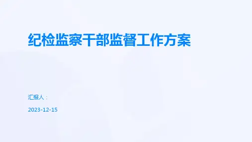 纪检监察干部监督工作方案