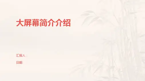 大屏幕简介介绍