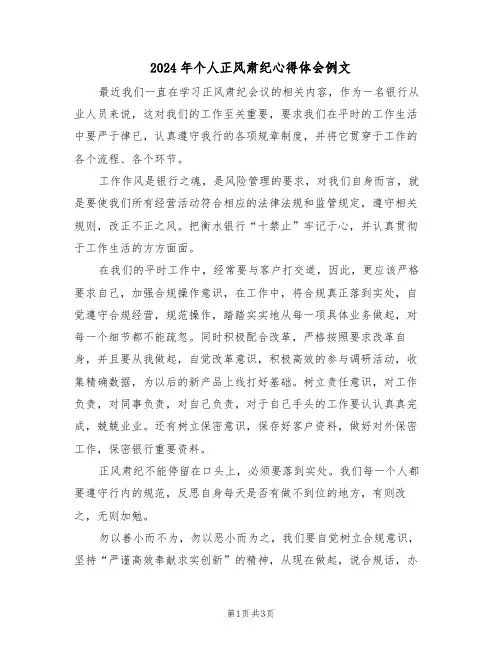2024年个人正风肃纪心得体会例文(2篇)
