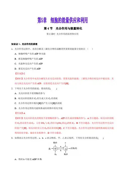 第5.4.2节 光合作用与能量转化-高一生物课时同步练(人教版2019必修1)(解析版)