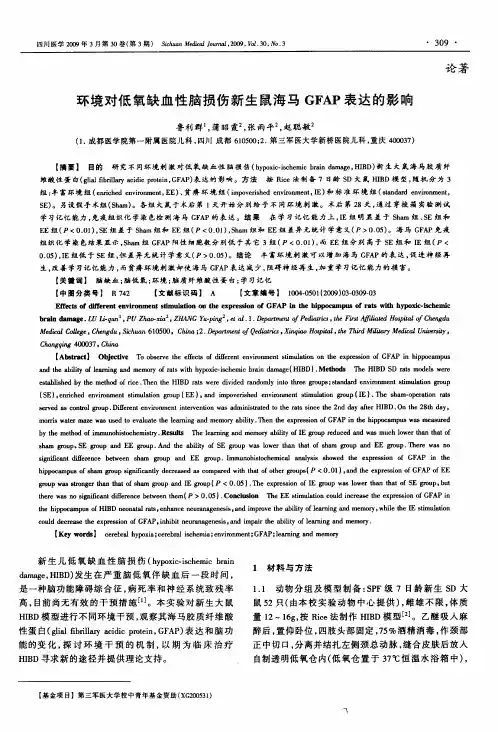 环境对低氧缺血性脑损伤新生鼠海马GFAP表达的影响