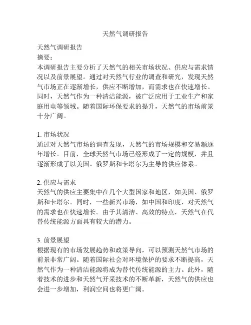 天然气调研报告