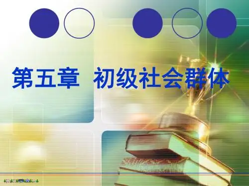 社会学(杨刚)第5章  初级社会群体-PPT精选文档