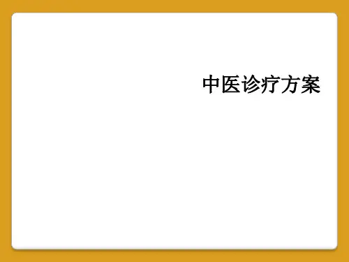 中医诊疗方案