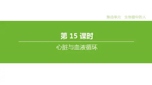 中考生物教材基础知识复习：专题15 心脏与血液循环课件