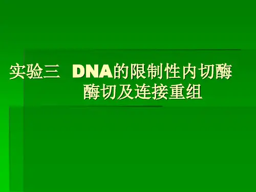 二、DNA限制性内切酶酶切及连接重组