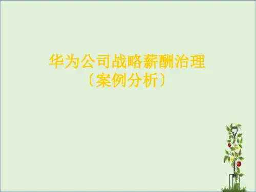 华为战略薪酬管理及案例分析