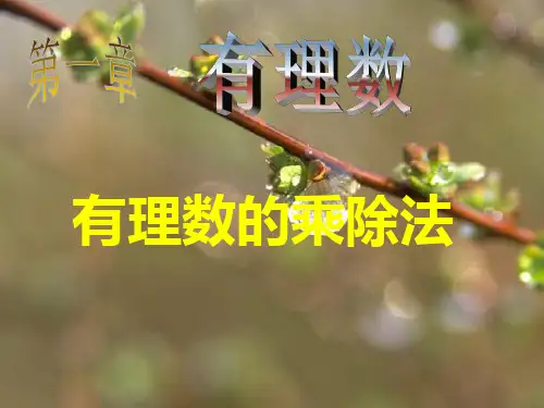 人教版七年级数学上册有理数的乘法