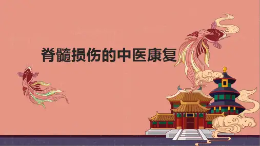 脊髓损伤的中医康复,中医康复学