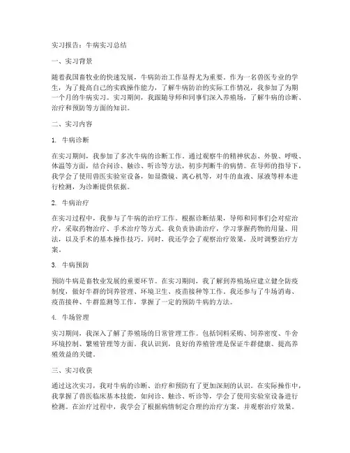 牛病实习报告