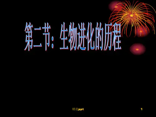 生物的进化历程