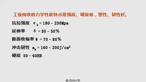 理学铁碳相图PPT课件