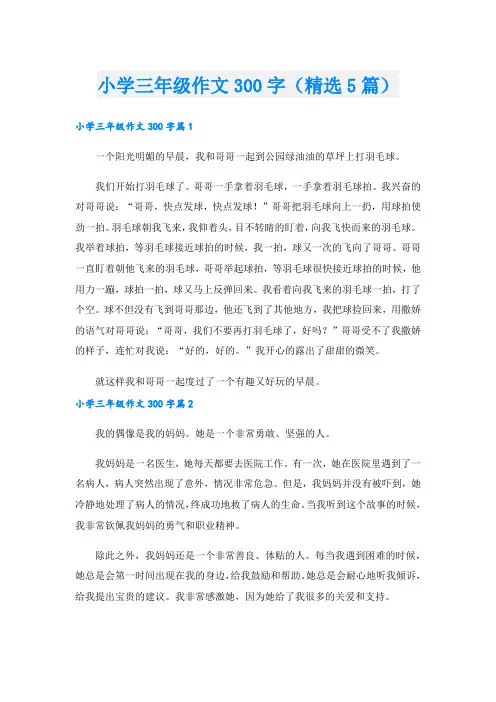 小学三年级作文300字(精选5篇)