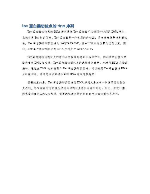 tev蛋白酶切位点的dna序列