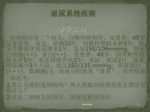 各系统常见疾病PPT课件