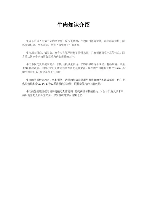 牛肉知识介绍