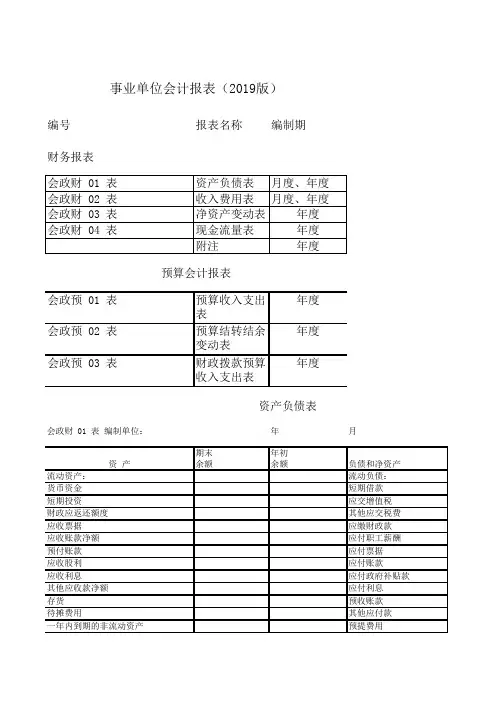 事业单位会计报表(2019版)