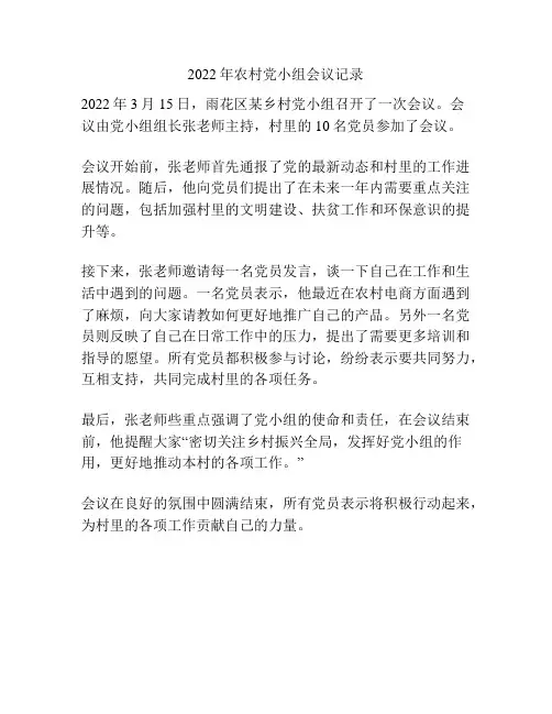 2022年农村党小组会议记录