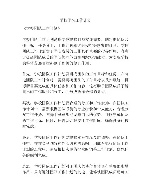 学校团队工作计划
