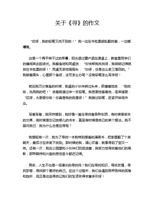 关于《寻》的作文