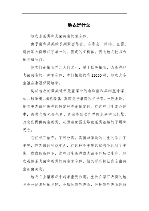 地衣是什么