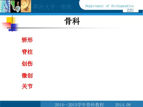 骨折概论PPT