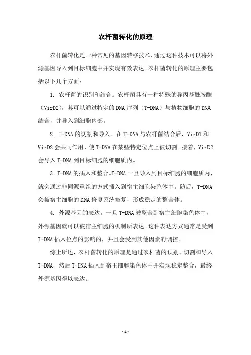 农杆菌转化的原理