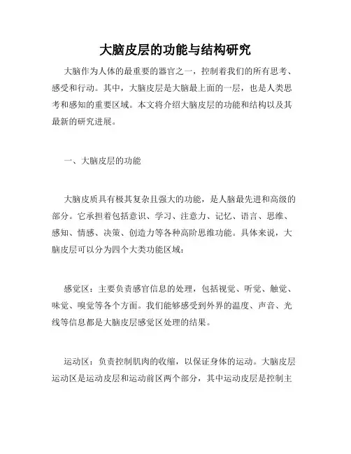 大脑皮层的功能与结构研究