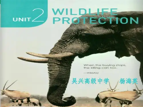 高中英语：Book2 Unit2 Reading and Thinking