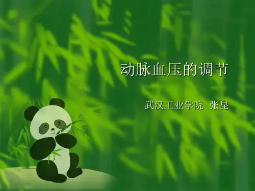 动脉血压的调节